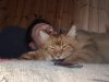 lupin dorme su di me.jpg