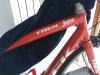 IMG_1585.JPG