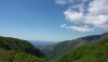 20200503_111400.jpg 20200503_111400.jpg