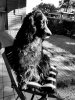 20200503_182241.jpg