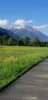 IMG_20200504_173626.jpg