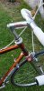 Bici-Wilier-Triestina-RAMATA-panto-Campagnolo-EROICA-vintage-_58.jpg