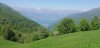 IMG_20200507_143629.jpg