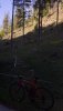 20200507_183630.jpg