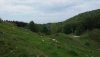 20200510_124810.jpg