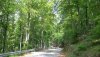 20200510_133159.jpg
