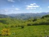 IMG_20200510_103408-01.jpeg