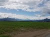 20200517_161430.jpg