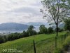 IMG_20200520_155733.jpg
