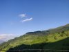IMG_20200520_191659.jpg