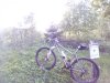 IMG_20200521_185004.jpg