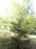 IMG_20200521_185808.jpg