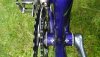 DSC01282.JPG