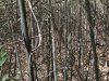 E620B063-5525-4787-B6F0-8E852926F4C7.jpeg