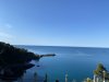 IMG_1235.jpeg