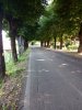 IMG_20200528_173603.jpg