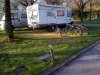 IMG_20190420_072918.jpg