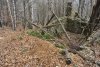 _D718180.JPG