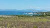 20200601_112830[1].jpg