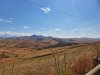 20200531_094702.jpg