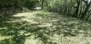 20200603_152446.jpg
