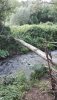 IMG_20200604_174100.jpg
