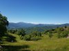 20200606_102706.jpg