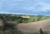 20200611_073914.jpg