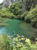 088BAFA6-DF39-458B-B06B-D855AFF3E985.jpeg