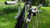 DSC01311.JPG