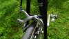 DSC01321.JPG