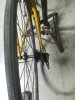 Fondriest vintage