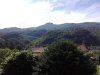 IMG_20200614_104144.jpg