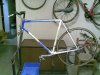 immag001aa.jpg