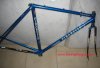pinarello.jpg