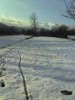 10-01-10_1504.jpg