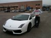 Lamborghini Gallardo.jpg