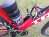 IMG_20200529_125423.jpg