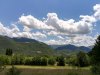 IMG_20200618_124949.jpg