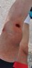 IMG-20200618-WA0010.jpeg