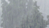 1592494902931.png