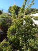 IMG_20200521_162525.jpg