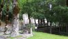20200620_080514.jpg