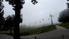 20200620_080144.jpg