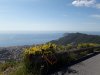 IMG-20200621-WA0007.jpg