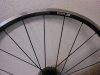 DSCN6591.JPG