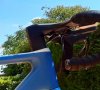 20200626_155048.jpg 20200626_155048.jpg