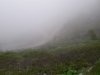 IMG-20200627-WA0013.jpg