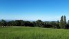 20200622_182845.jpg