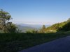 20200627_073517.jpg